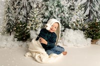 Image 4 of 2024 Whimsical Evergreen Winter Wonderland - Sleigh Mini Session 