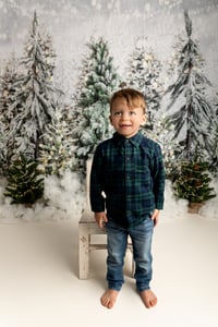 Image 3 of 2024 Whimsical Evergreen Winter Wonderland - Sleigh Mini Session 