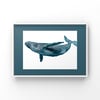 Digital Drawing, Whale No.1, 2 or 3, PDF