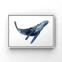 Digital Drawing, Whale No.1, 2 or 3, PDF