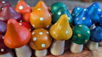 Image 4 of Magik Toadstools