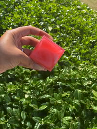 Plump posterior soap 