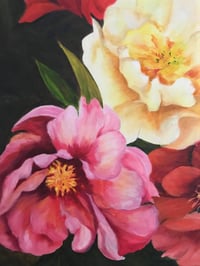 Colorful Peonies