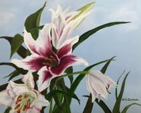 Image 1 of Joyful Lilies