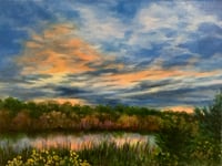 Natures Harmony
