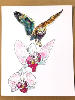 Image of Orchid Owl Laserprint 