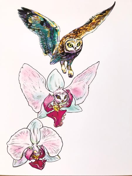 Image of Orchid Owl Laserprint 