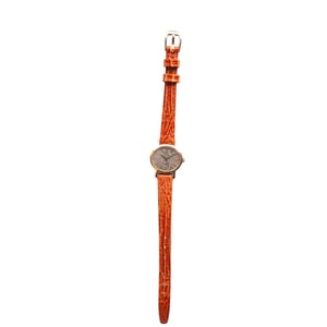 70s omega geneve