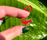 Image 1 of Mini Shrimp Keychain 