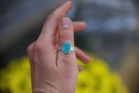 Image 1 of Sierra Bella turquoise ring No. 002 (size 8.25)