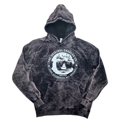 Image of The Vintage Landing Hoody