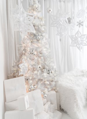 Image of White Christmas Holiday Mini Sessions - 2024