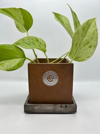 Image 2 of 3”x3” Cement Planter with Mismatched Drip Dish
