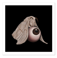 Image 1 of Mothball
