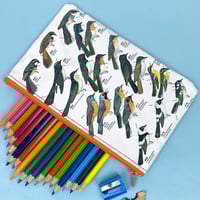 Image 1 of Willie Wagtail, Australian Bird Guide Book Page Pencil Case