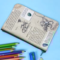 Image 2 of Dragonology Book Page Pencil Case, Dragon Breeds