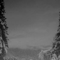 VINTLECHKEIT (RUS) "Mektige Trinn​.​.​. Frostige T​å​ken" CD