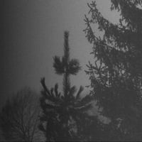VINTLECHKEIT (RUS) "Evig Og Mork Vinter​.​.​. Svarta" CD