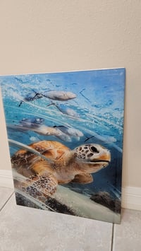 Image 1 of #1 Turtle on Glass 