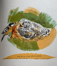 Image 4 of Cuckoo Père Castor book No. 8