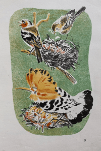 Image 2 of Cuckoo Père Castor book No. 8