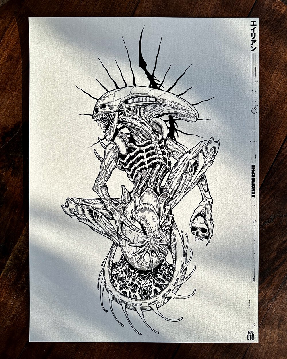Image of Xenomorphe
