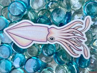Image 1 of Squid Sticker