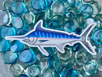 Image 1 of Blue Marlin