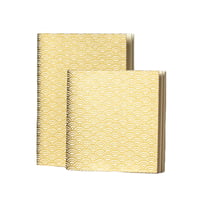 Notebooks, set * Water * Gold
