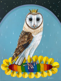 Rainbow Portal Barn Owl