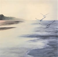 Flying Free