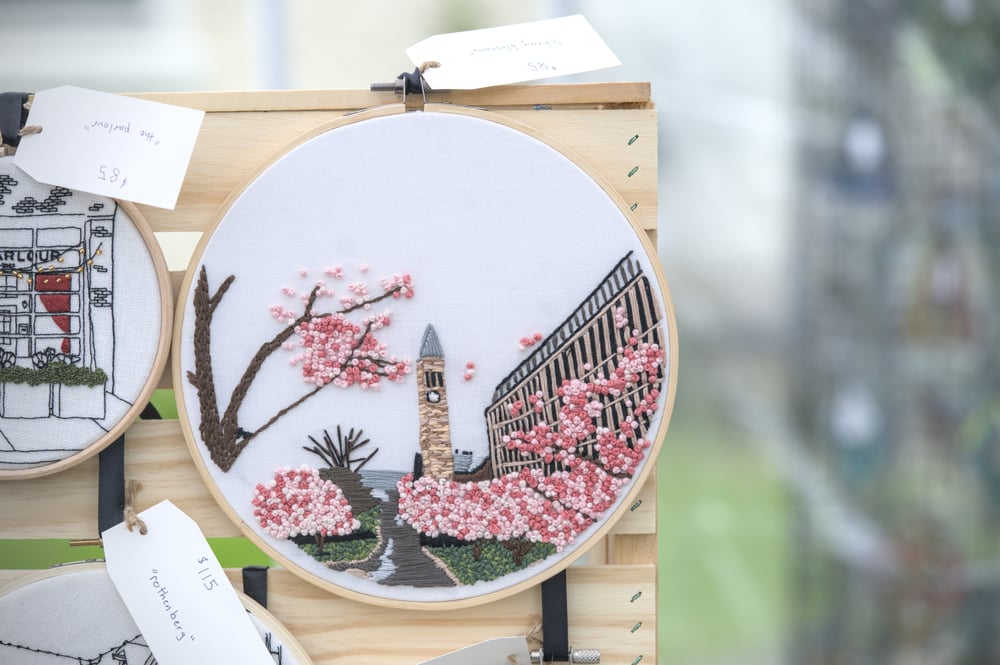 Image of Cherry Blossoms