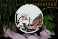 Image 4 of Cherry Blossoms