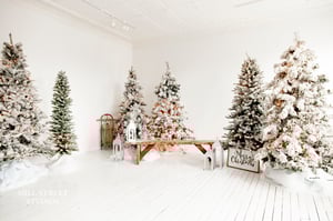 Image of Christmas Minis - December 6th