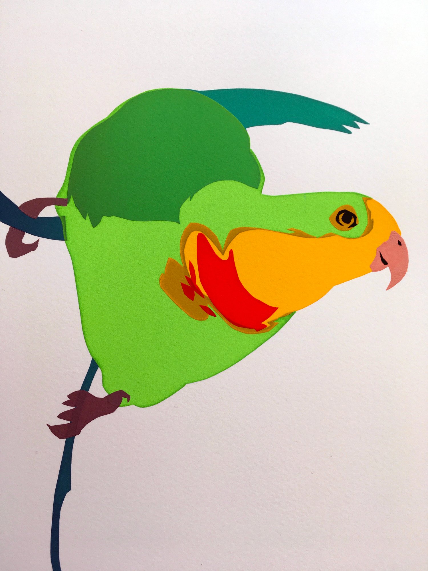 Image of Australian coral-billed parrot