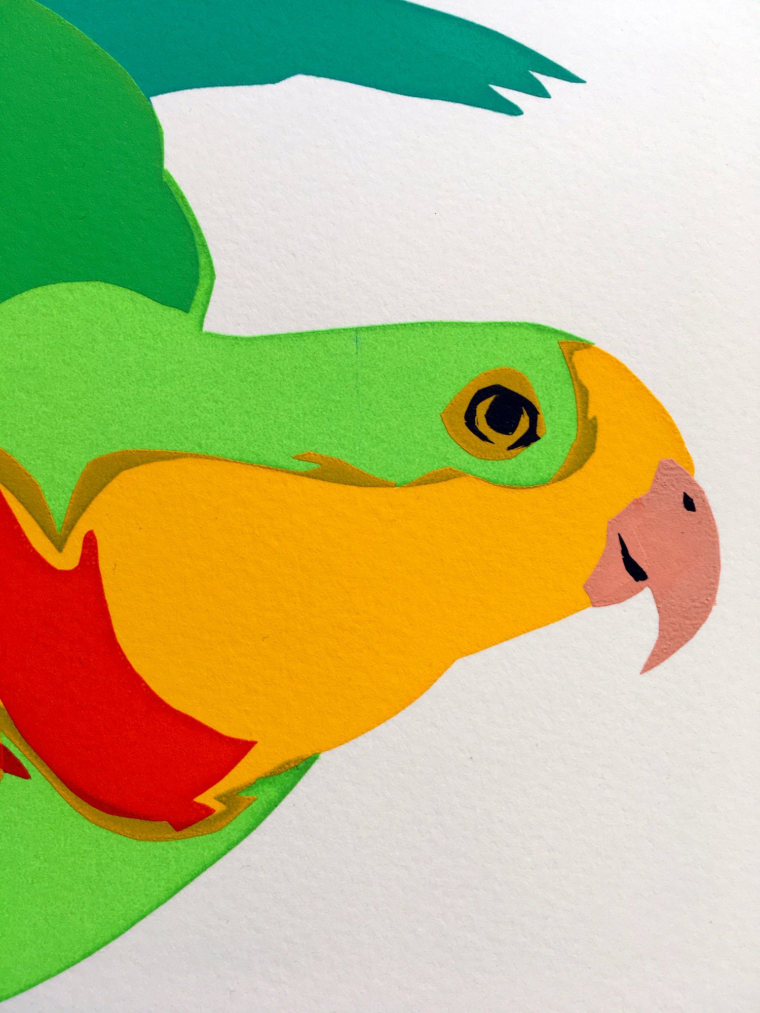 Image of Australian coral-billed parrot