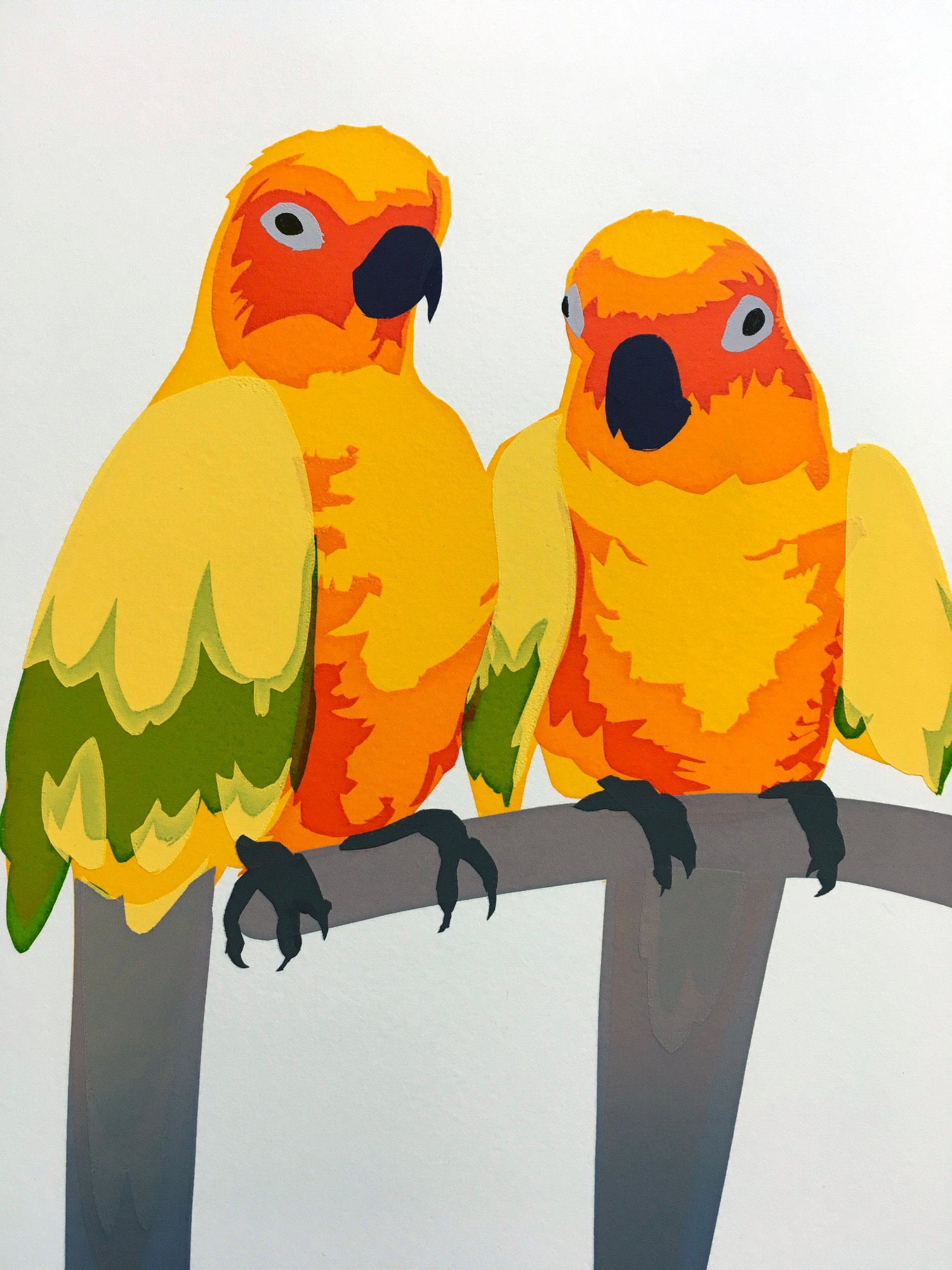 Image of Carolina parakeet