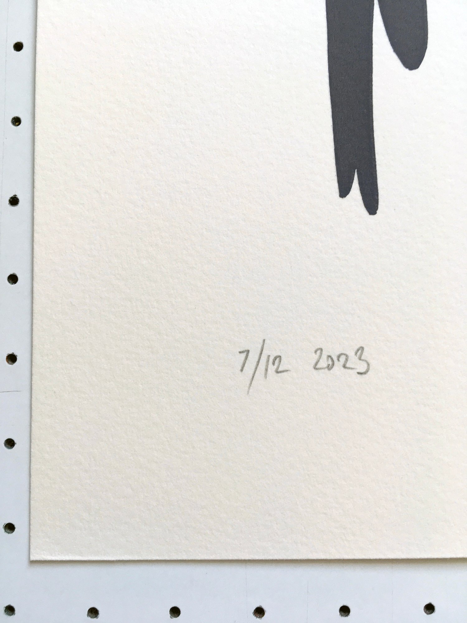 Image of Carolina parakeet