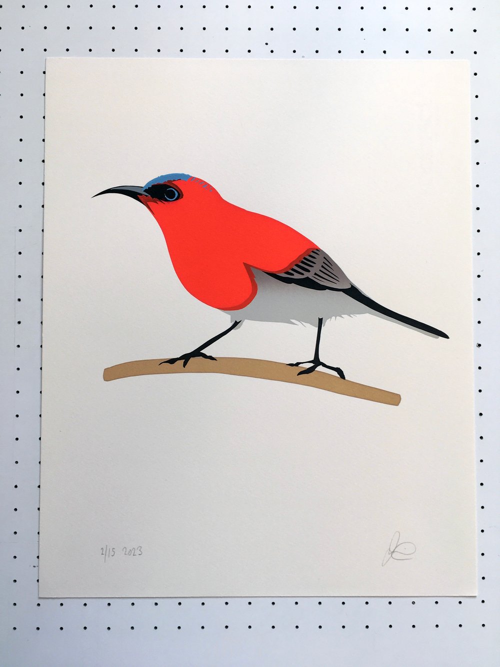 Image of Crimson sunbird