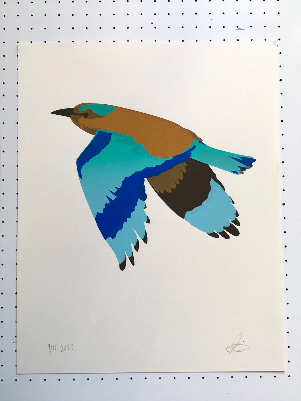 Image of Indian roller