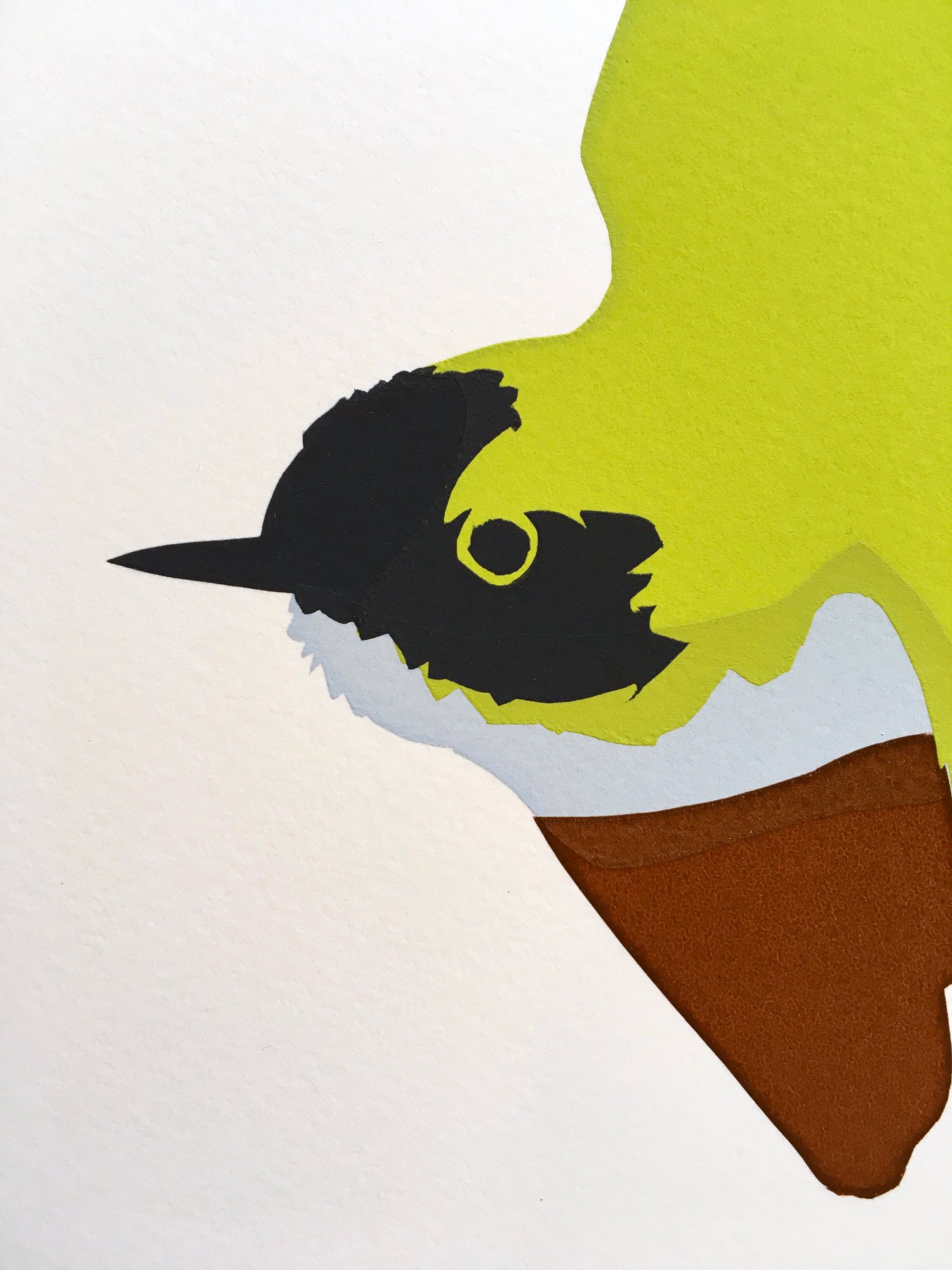 Image of Purple-crowned Fairy