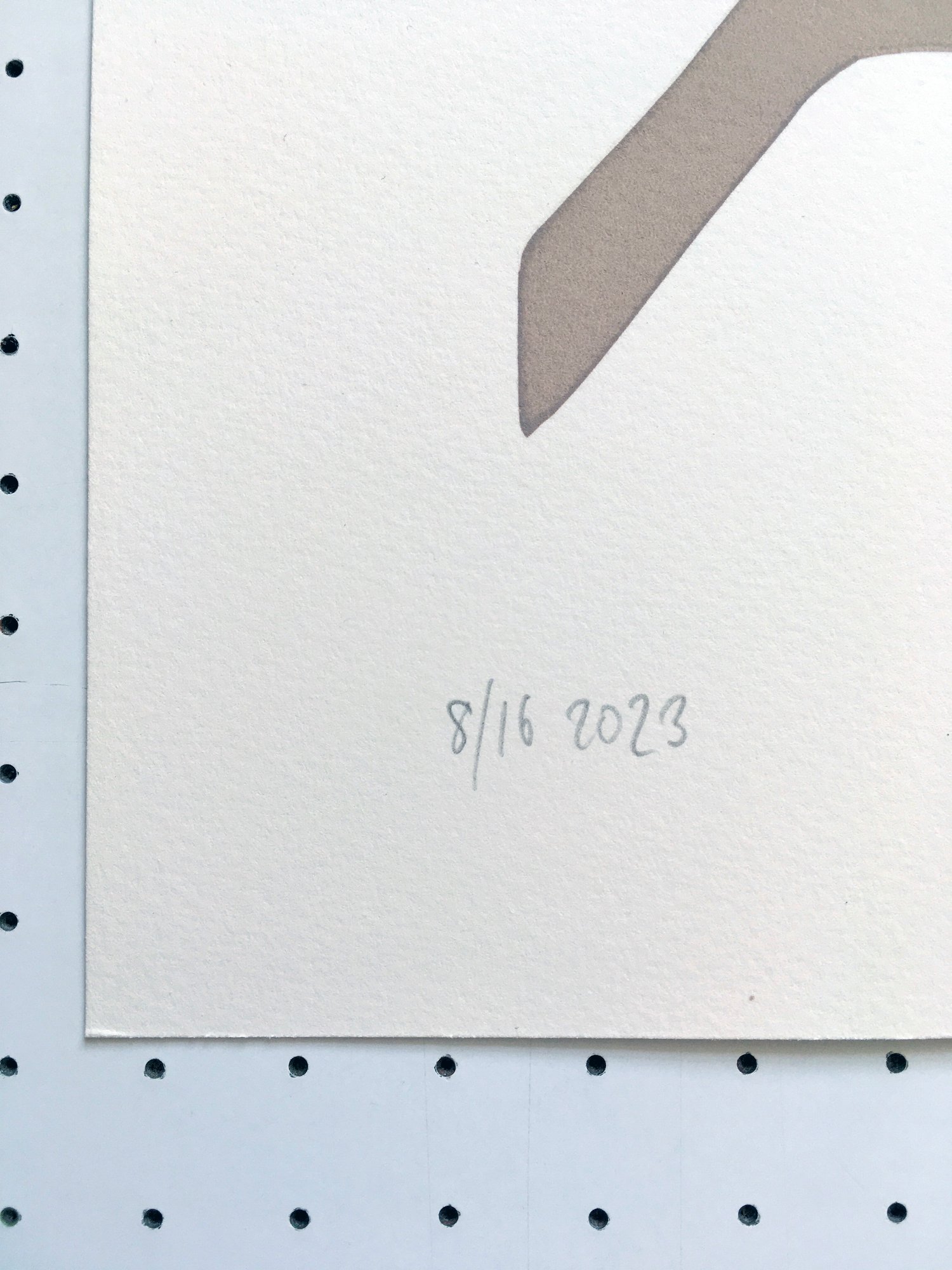 Image of Rose-ringed Parakeet