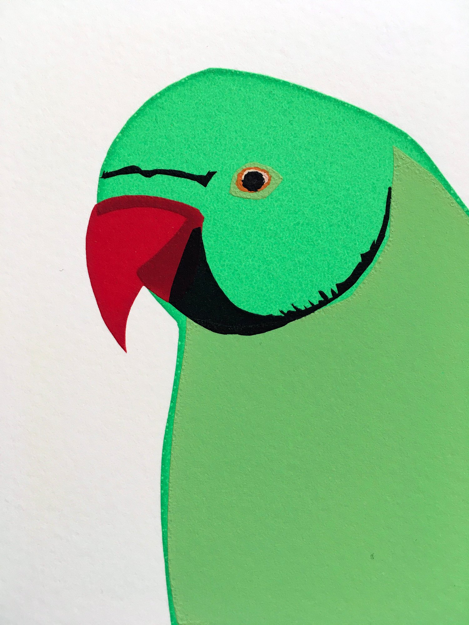 Image of Rose-ringed Parakeet