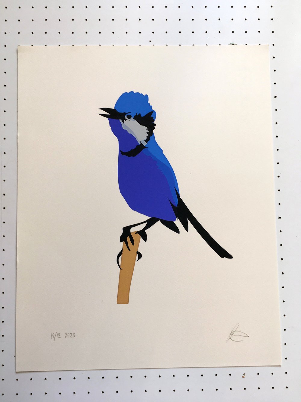 Image of Splendid Fairywren