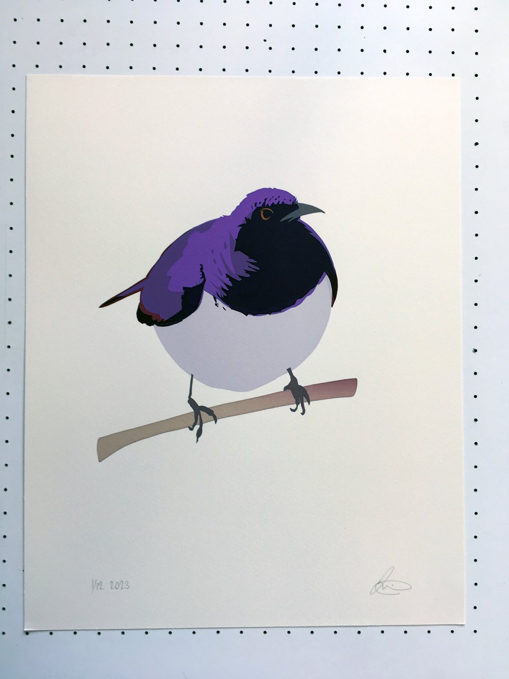 Image of Violet-backed Starling