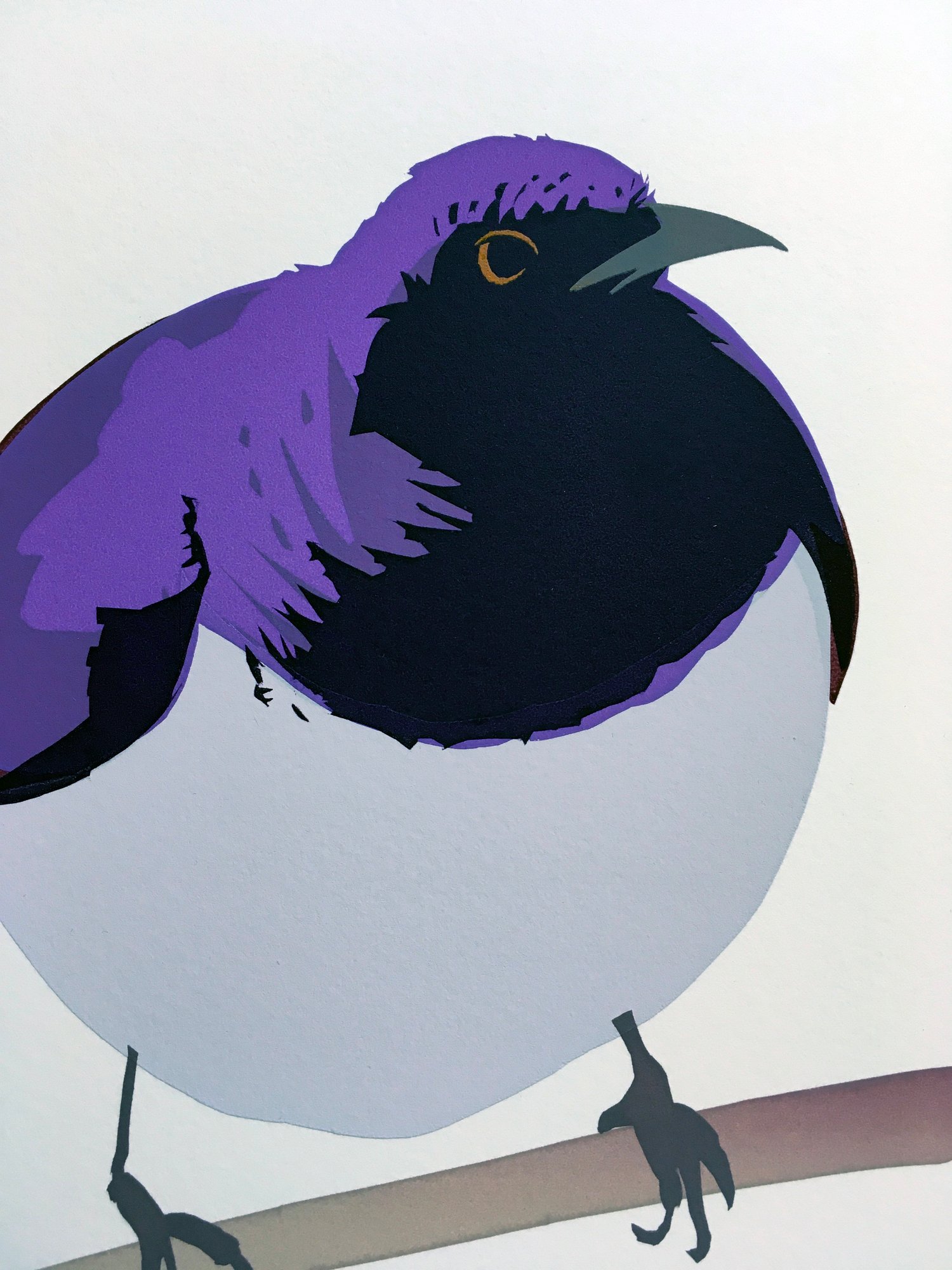 Image of Violet-backed Starling