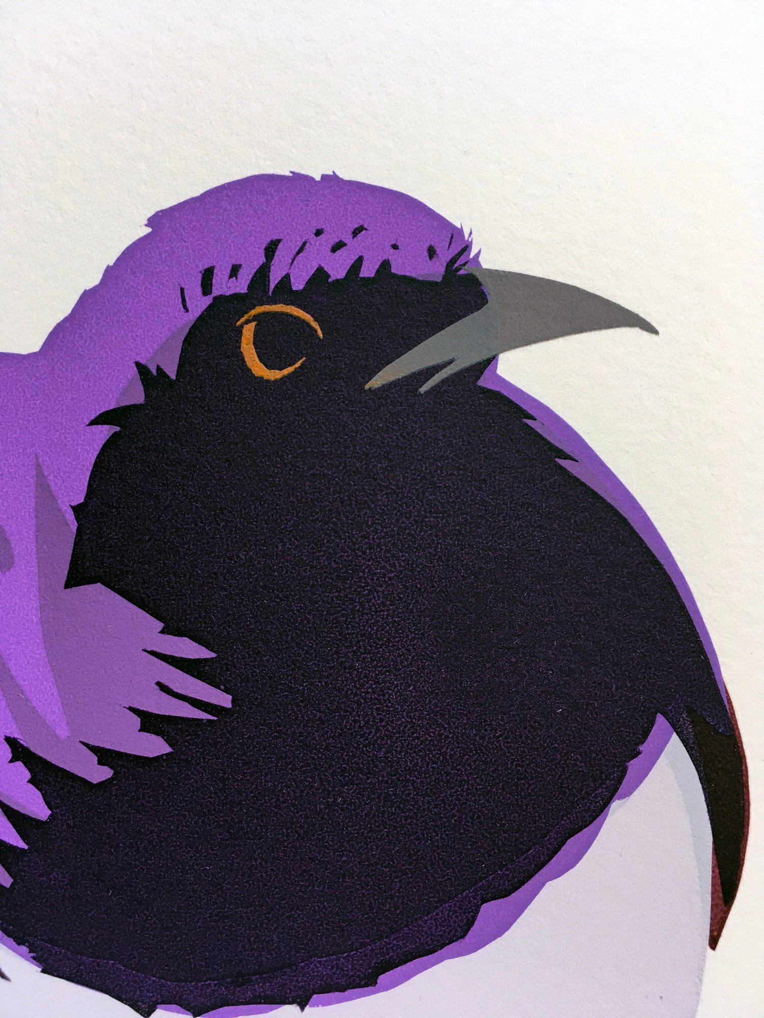 Image of Violet-backed Starling