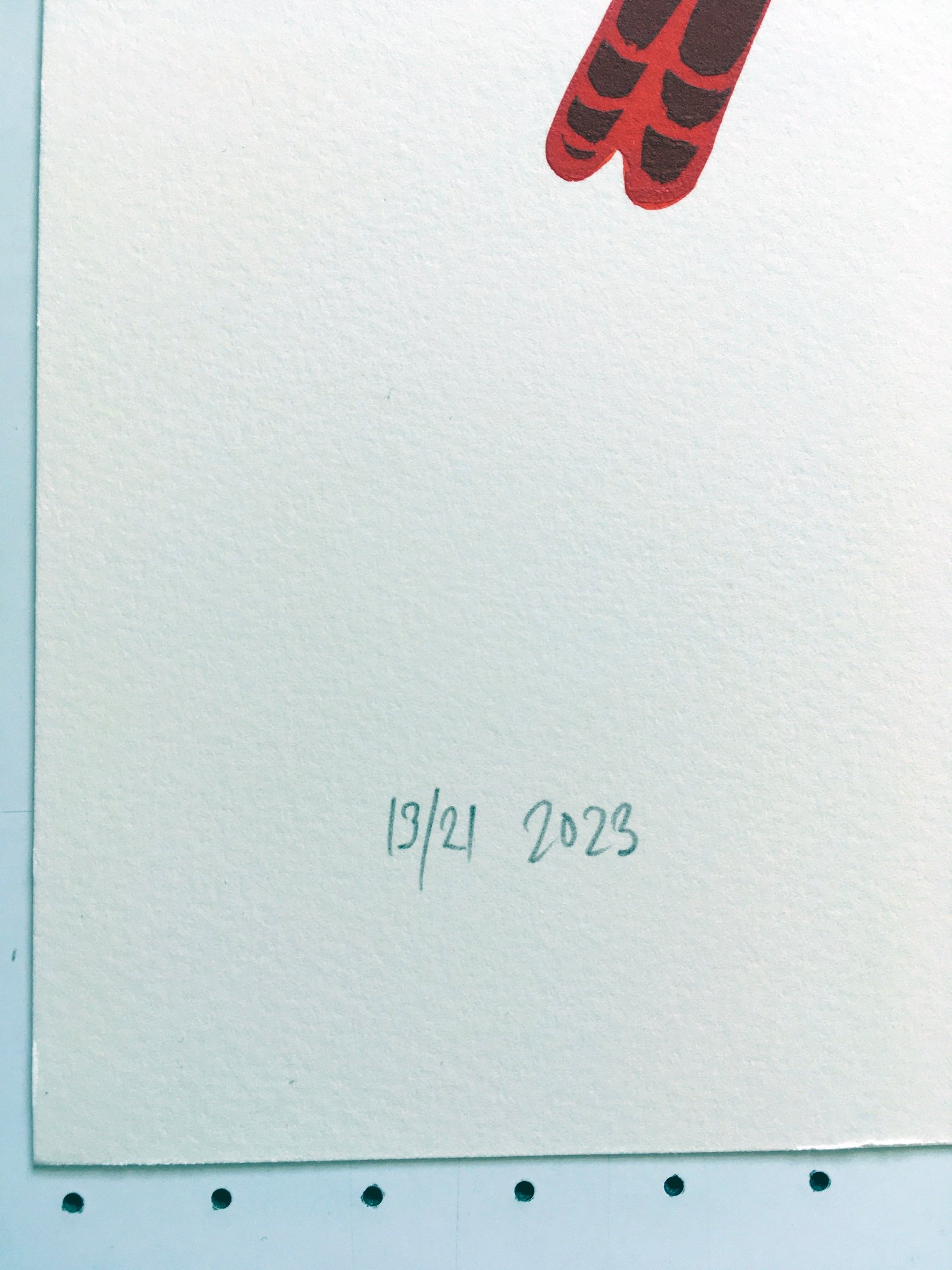 Image of Northern Cardinal