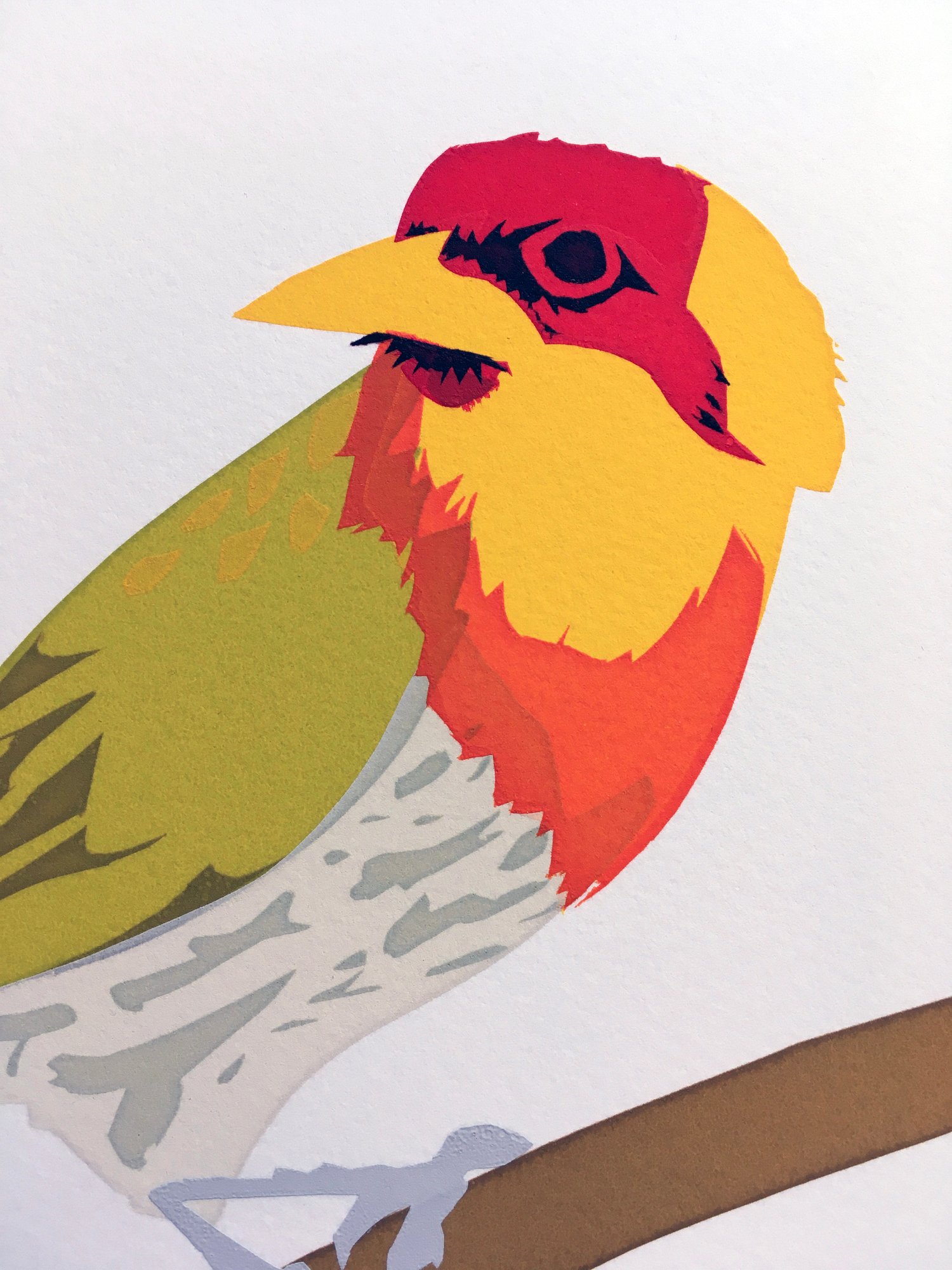 Image of Lemon-throated Barbet