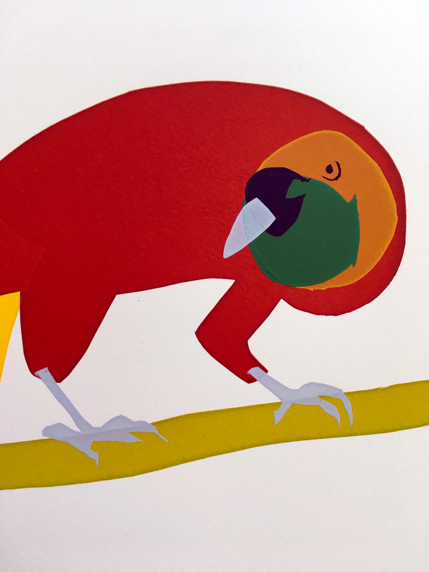 Image of Lesser Bird of Paradise